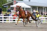 Caru oli tämän kesän Suur-Hollola-ajossa kolmas. Rattailla Henri Bollström.