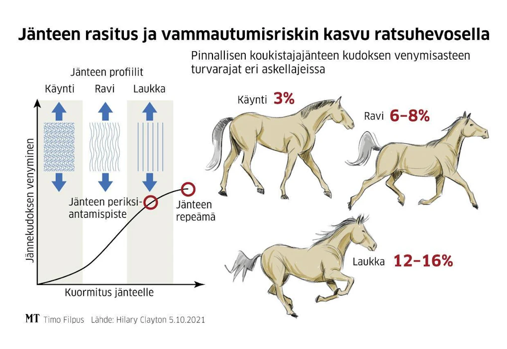 Jänteiden elastinen, aaltomaisen kihara rakenne venyy liikkeessä, äärimmäisissä vauhdeissa ja tilanteissa eniten. Jänteet haurastuvat tutkimusten mukaan suhteellisen varhain, jo 11-vuotiaan hevosen pinnallisen koukistajajänteen kudos on 40 prosenttia heikompaa kuin nuorena.