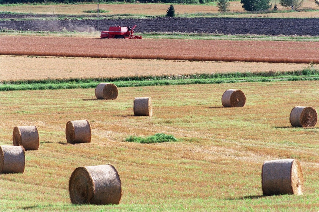 Poliisi muistuttaa, että vaikkapa paalikuorma ei saa olla perävaunua leveämpi.