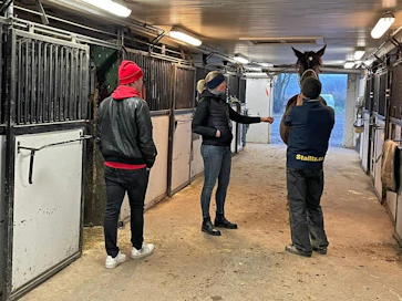 Taneli Säde ja Jonna Irri haluavat panostaa myös Ruotsissa syntyneisiin varsoihin. Kuvassa heille esitellään Stall T.Z.:n varsoja.