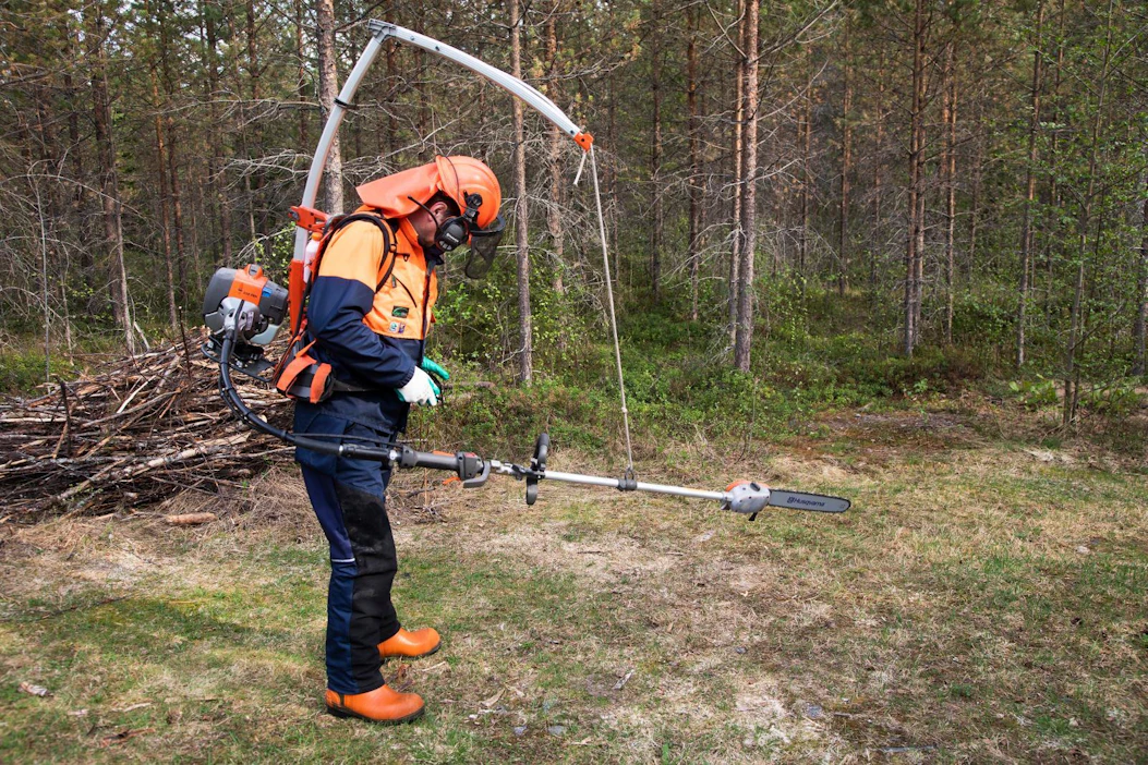 Kalle Arvio siistii kotinsa lähimetsää teräketjuraivaussahalla. Varhaisperkauksia hän tekee perinteisellä raivaussahalla.