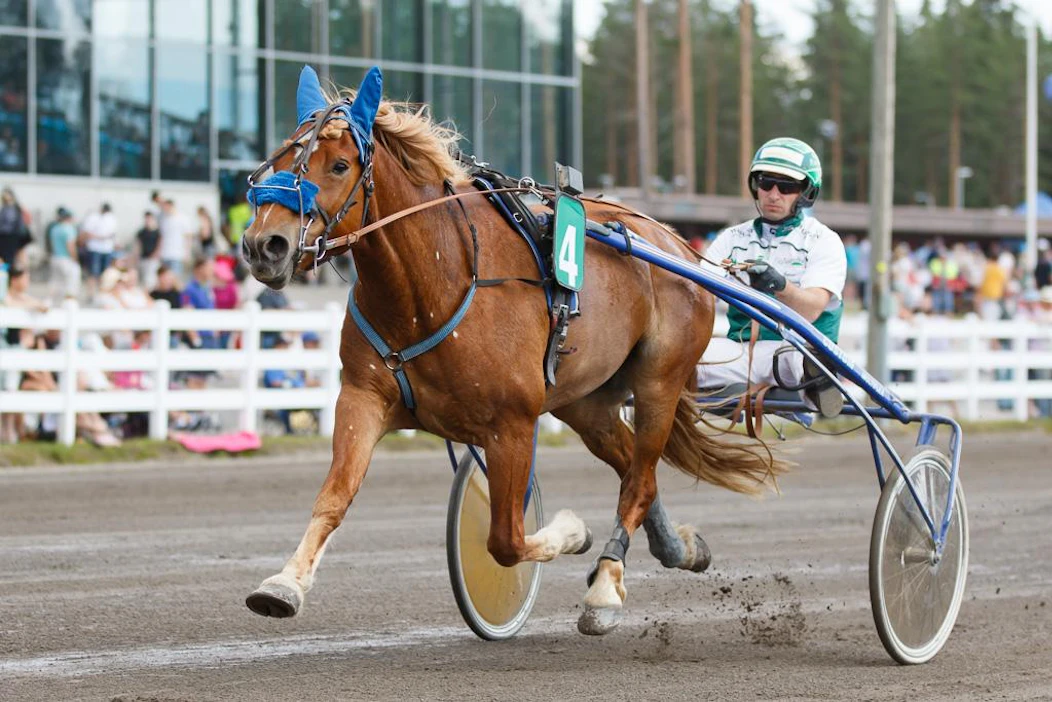 Onnistuvatko Vennelmon Varma ja ohjastuksen hoitava Janne Räisänen Vermossa tänään T65-päätöskohteessa?