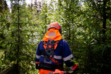 Raivaussahatyö kuormittaa metsurin kehoa vähemmän kuin menneiden vuosikymmenien urakkatahtinen hakkuutyö.