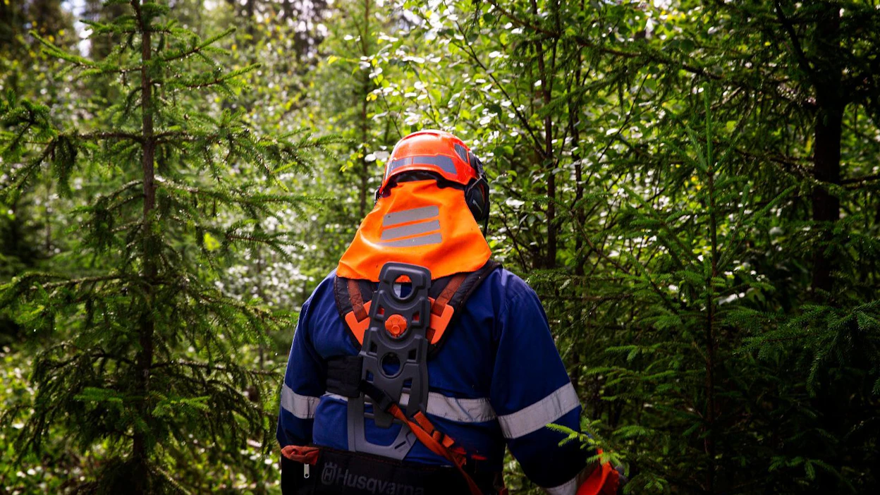 Raivaussahatyö kuormittaa metsurin kehoa vähemmän kuin menneiden vuosikymmenien urakkatahtinen hakkuutyö.