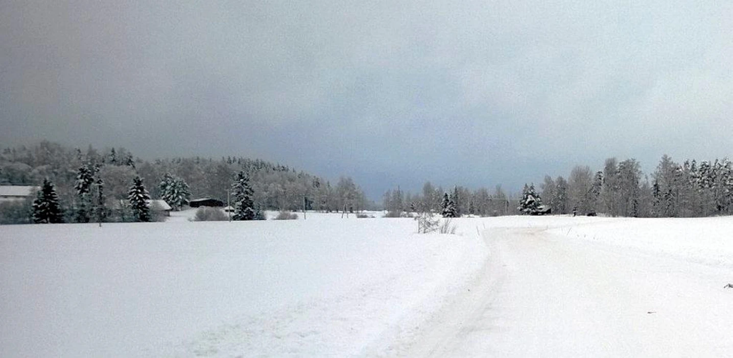 Metsästrategia nostaa pohdittavaksi siirtymisen puuntuotannon tukemisesta maiseman, puhtaan veden ja hiilensidonnan tukemiseen.