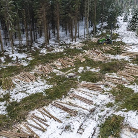 Metsien hakkuumäärät olivat vuonna 2021 toiseksi korkeimmat Suomen historian aikana. Vuoden 2022 hakkuut ovat noin kolme prosenttia viime vuotta jäljessä.