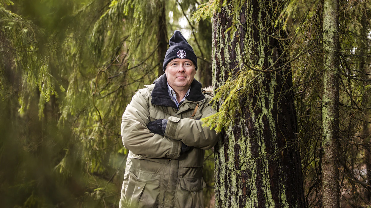 Marcus Walsh ihailee baltilaista perinnettä, jossa metsiin tavataan yhä jättää jokunen vanha puu, niin sanottu uhripuu. Vanhoja yksilöitä löytyy usein myös Suomesta lähimetsistä ja virkistysalueilta.