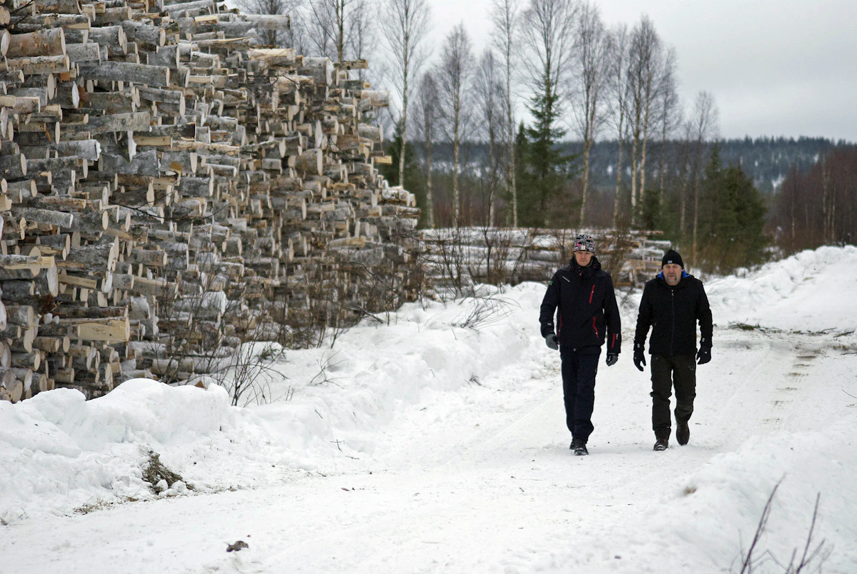 ”Yhtymän puuston arvo kasvaa nykyisestä kahdesta miljoonasta eurosta noin kolmeen miljoonaan metsän kasvun myötä”, Viitala ja Väisänen arvioivat.