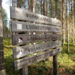 Kaavailtu kaivosalue sijaitsee osittain Sodankylän Viiankiaavalla, joka on poikkeuksellisten luontoarvojensa vuoksi suojeltu myös soidensuojelualueena. RITVA SILTALAHTI / LEHTIKUVA.