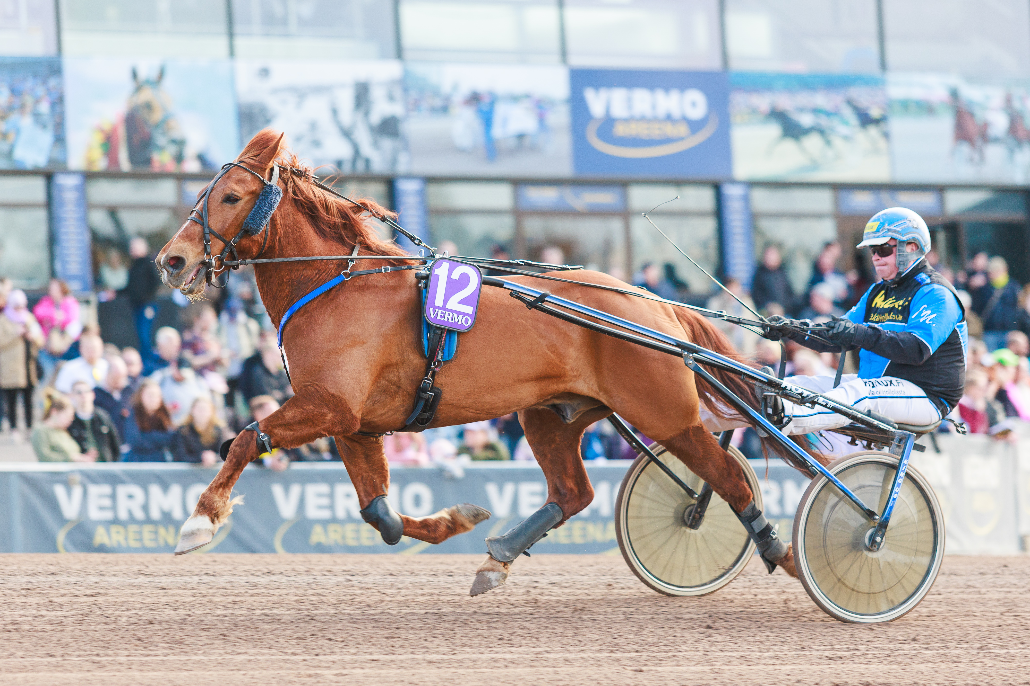 Juha Utala on ollut viime vuodet Morisonin vakio-ohjastaja.