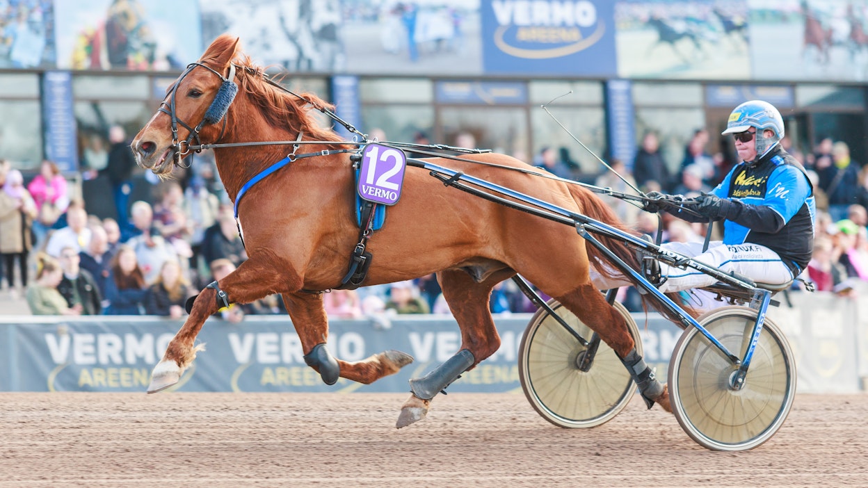 Juha Utala on ollut viime vuodet Morisonin vakio-ohjastaja.
