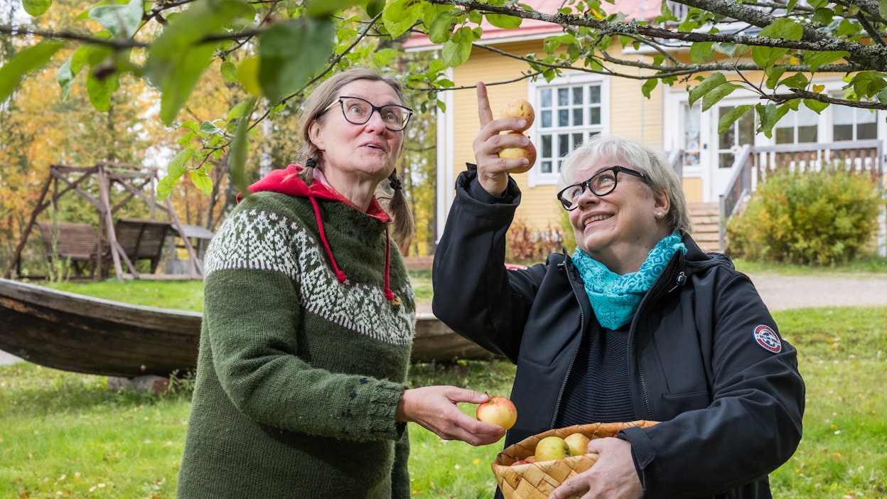 Minna Murtonen ja Kirsi Partanen myöntävät, että Äksyt Ämmät -yrityksen nimi herättää kysymyksiä ja se tarkoituskin.