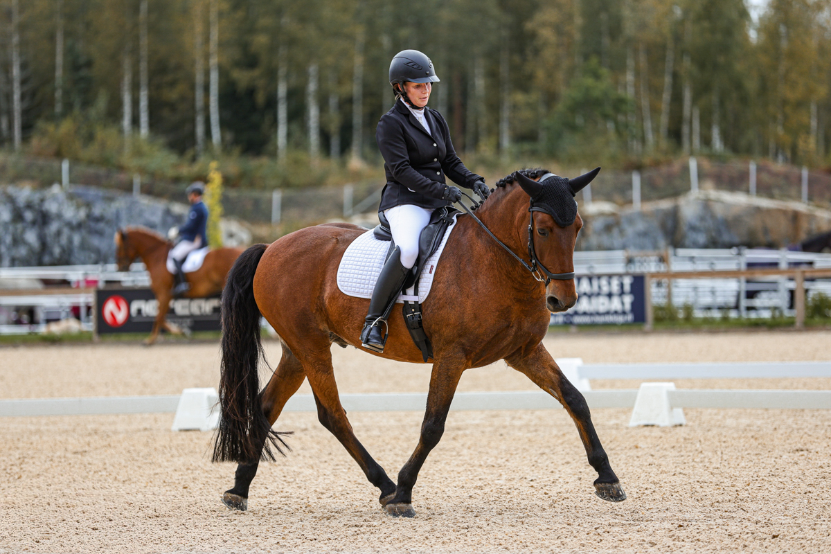 Jenna Hiltunen ja Pörnä-Loisto veivät pronssia suomenhevosten koulumestaruuskilpailuissa Hattulassa viime syksynä.
