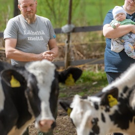 Jukka-Pekka ja Jonna Saari etsivät sopivaa maitotilaa viisi vuotta. Muutama vuosi sitten he löysivät Mäntysaaren tilan Nurmeksen Valtimolta. Tänään tilalla vietetään Maailman maitopäivän yleisötapahtumaa. 