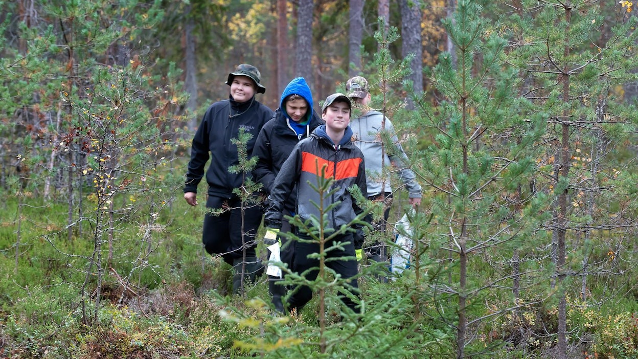 Seiskaluokkalaiset Jerry Harju (vas.), Eetu Peltokangas, Eelis Lamminaho ja Akseli Pykälämäki Töysän yläasteelta tutustuivat viime viikolla metsä- ja suoluontoon.