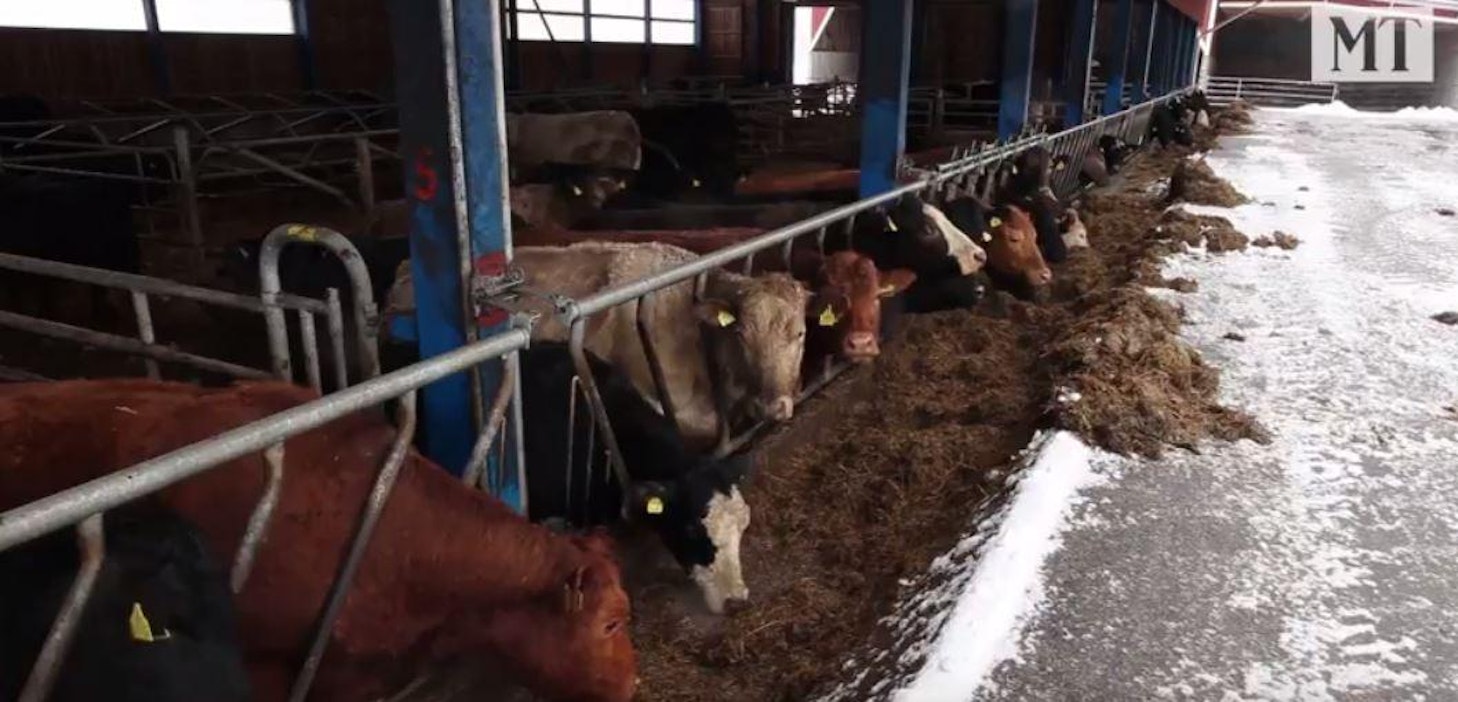 Laihialla viikko alkoi lumipyryllä.