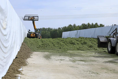 Runsaasta massasta ei tamppauksessa ole haittaa. Tällä laakasiilolla kurottajan renkailla päästään tiivistämään siilon reunat. Tällöin pitää kuormain olla ylhäällä, jotta leveä koura ei käy reunamuoviin kiinni. 