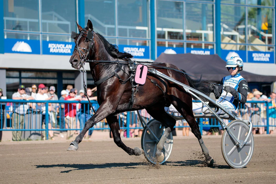 Magnus A Djusen ohjastama Aetos Kronos tavoittelee Jubileumspokalenin 1,5 miljoonan kruunun ykköspalkintoa.