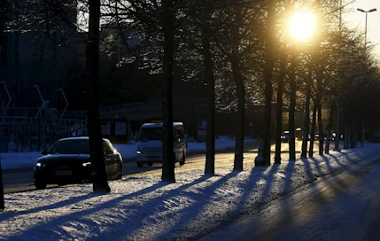 Sunnuntaista ennustetaan kaunista talvipäivää läntiseen ja eteläiseen Suomeen. LEHTIKUVA / Vesa Moilanen