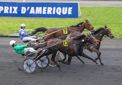 Urlo Dei Venti (13) kiri Prix De Luxembourgin ykköseksi tammikuussa 2018 Enrico Bellein kannustamana.