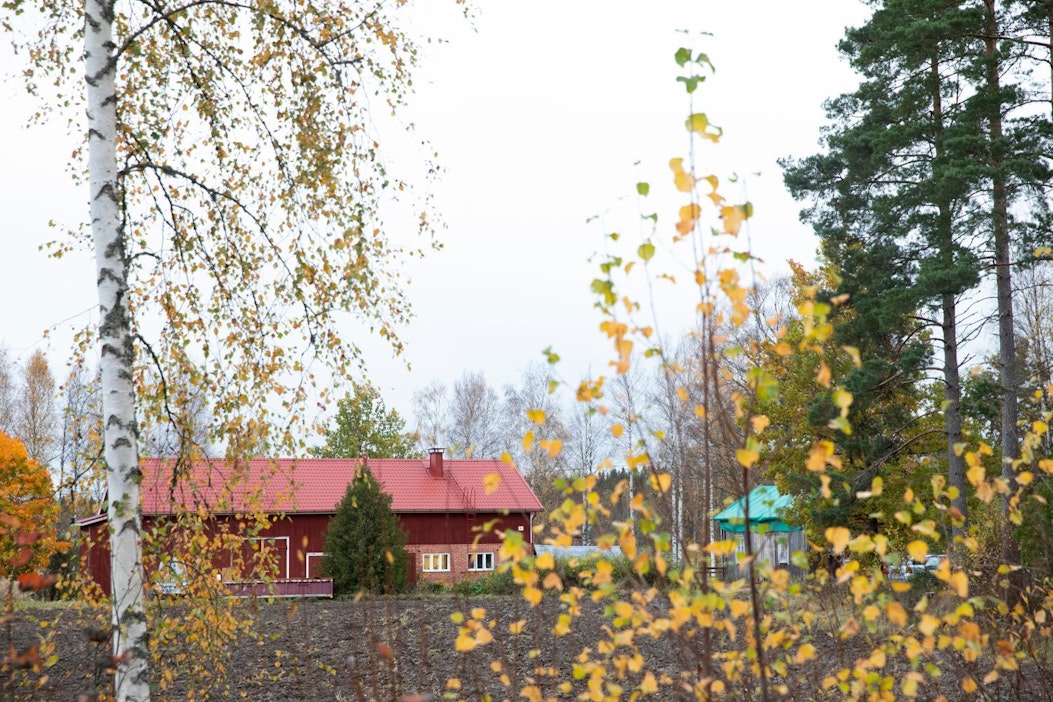 Harvaan asutut alueet kattavat yli kaksi kolmasosaa Suomen pinta-alasta.