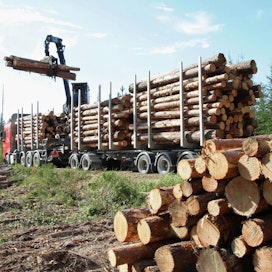 Luonnonvarakeskuksen kyselyllä halutaan selvittää, miten puuhuoltoketjussa työskentelevät ammattilaiset jaksavat muuttuvissa työoloissa.