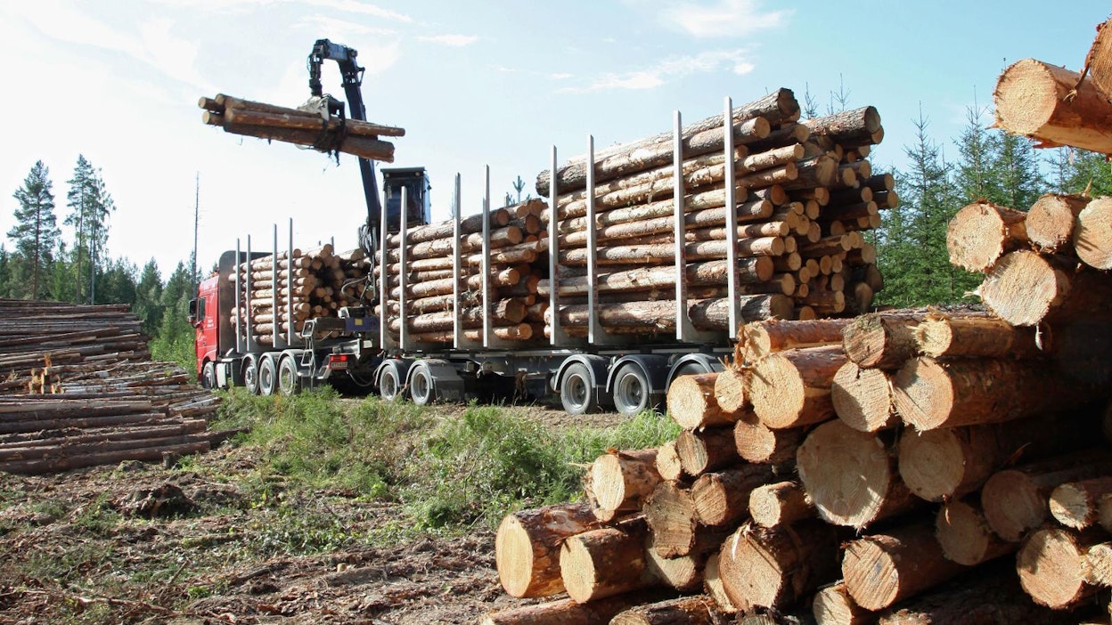 Luonnonvarakeskuksen kyselyllä halutaan selvittää, miten puuhuoltoketjussa työskentelevät ammattilaiset jaksavat muuttuvissa työoloissa.