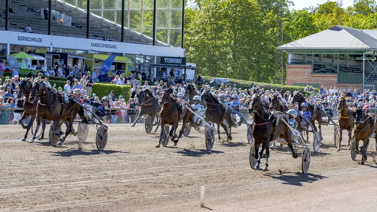 Charlottenlundin ravirata on yksi Pohjoismaiden ikonisimpia ravipyhättöjä.