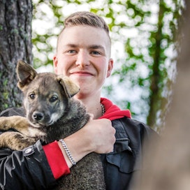 Iiläinen Allan Kaleva ampui hirvimerkin viime syksynä. Metsällä hän on kulkenut äitinsä kanssa alle kouluikäisestä, tulevina syksyinä hän kulkee metsällä oman hirvikoiran kanssa.