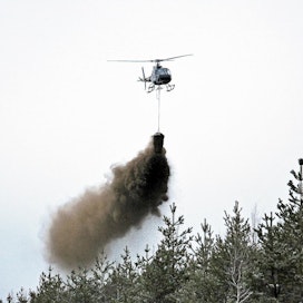 Tuhkaa levitetään helikopterin avulla Lapin valtionmaiden suometsäkohteisiin tänä talvena noin 2 600 hehtaarille, ja määrä kasvaa tulevina vuosina. Lapissa Metsä­hallituksen lannoitustavoite on 5 000 hehtaaria vuodessa, koko maassa 30 000 hehtaaria vuodessa.