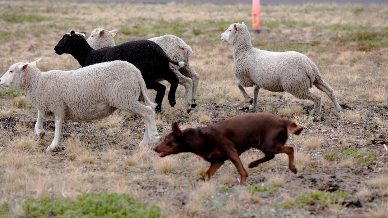 Arkistokuva Suomesta, ei liity tapaukseen.