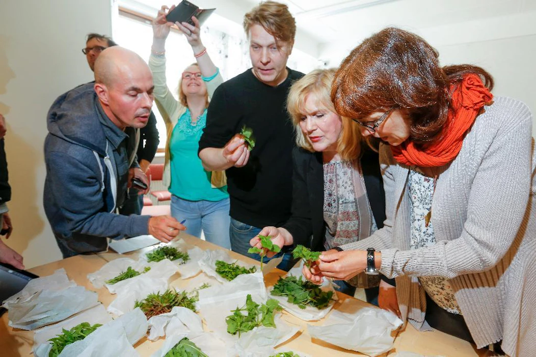 Jarmo Åke, Sini Garam , Sami Tallberg, Eija Lehmuskallio ja Raija Kivimetsä tunnistavat villiyrttejä.