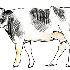 Holstein-rodun perimässä on haitallisia haplotyyppejä useita, mutta ne ovat harvinaisempia kuin muilla roduilla. Niiden huomioon ottaminen jalostuksessa voisi vielä estää yleistymisen.