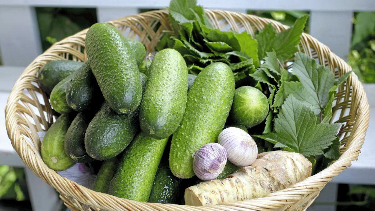 Kiinnostus puutarhanhoitoon liittyy ruokaharrastuksen kasvuun. Nyt halutaan kasvattaa syötävää itse.