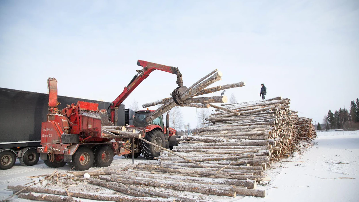 Energiateollisuus varoittaa kaatamasta metsää energiaksi. Nyt metsäenergian käyttö on kestävää ja ilmastoystävällistä.
