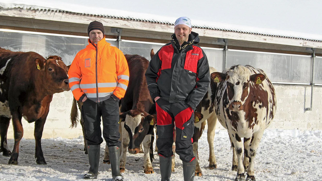 Jani Huotari (vas.) ja Juha Rinkinen pyörittävät reilun 90 lypsävän tilaa maatalousyhtymän nimissä.