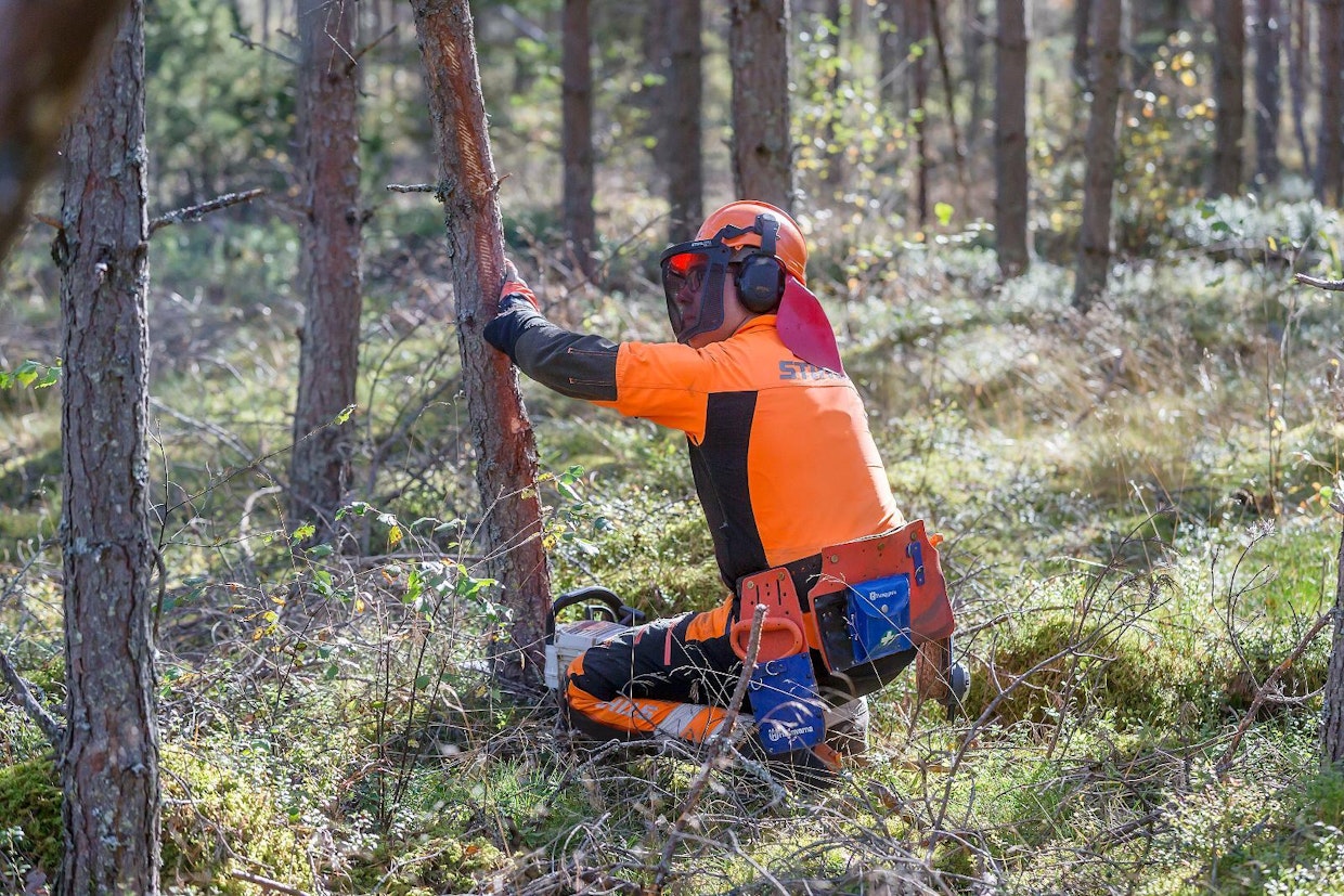 Metsätyöt tuovat vaihtelua kauppiaan arkeen.