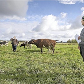 Minna Norismaa (oik.) korostaa karjasilmän harjaantumisen merkitystä. Tottunut eläintenpitäjä erottaa oireet ja poikkeavuudet jo eläinten ulkomuodosta ja käytöksestä. Taustalla emäntä Minna Kotila. Esko Keski-Vähälä