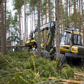Puun käyttö on suomalaista ilmastopolitiikkaa, sillä se muun muassa vähentää riippuvuutta tuontiöljystä, Markku Eestilä kirjoittaa. Lauri Salminen