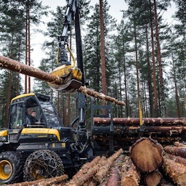 Professori Markku Ollikaisen mukaan teollisuuden puunsaanti voi jopa kasvaa, jos metsänomistajat kasvattavat puut nykyistä järeämmiksi. Silloin metsätkin sitoisivat nykyistä enemmän hiiltä.