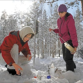 Sami Karppinen Taso-hankkeen koordinaattori Päivi Saari ja suunnittelija Pia Högmander ottavat vesinäytteitä Karstulan Patinmetsän vanhalta ojitusalueelta.