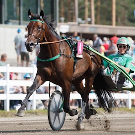 &quot;Saavat ruotsalaiset nähdä, millainen hevonen meillä on&quot;, uhoaa Erkki-Pekka Mäkinen. Kuvassa Mikkelissä Graceful Swampin rattailla on tavalliseen tapaan Ari Moilanen - niin Solvallassakin.