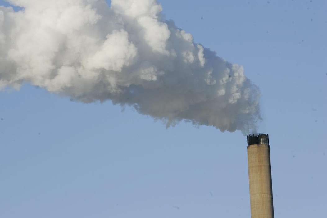 WWF on harmissaan Fortumin hallituksen päätöksestä.