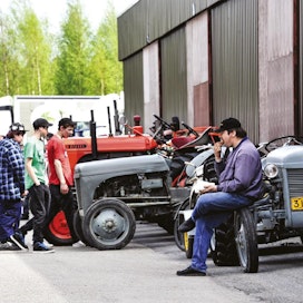 Harmaa Ferguson ja kuuma grillimakkara kuuluvat jokaiseen traktorinäyttelyyn.