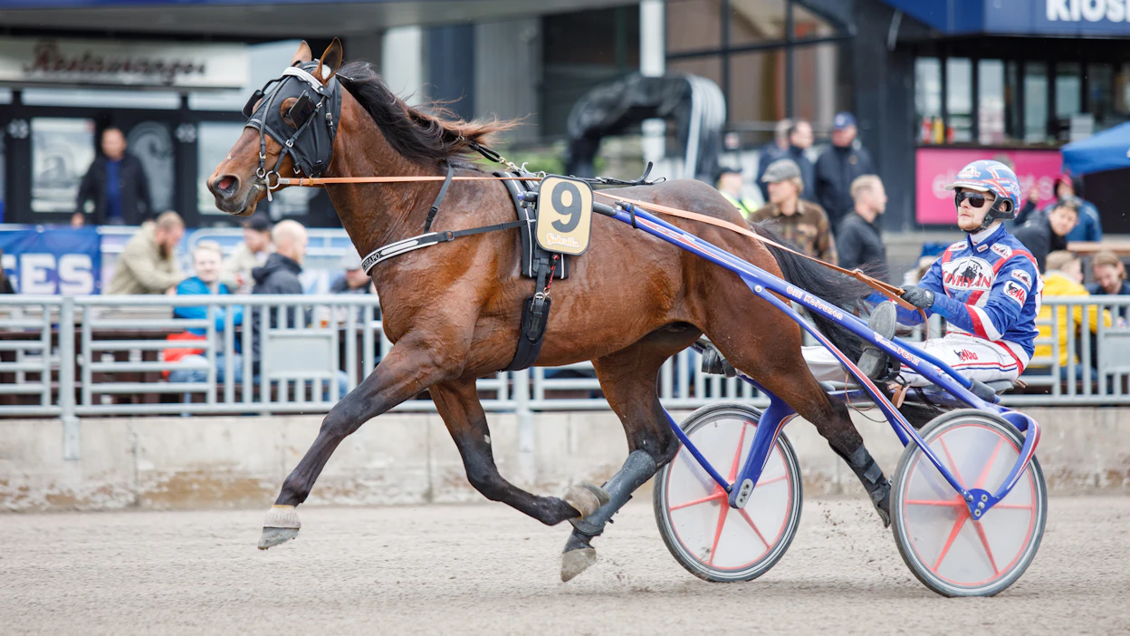 El Cheapo kilpaili kolmevuotiaana Solvallassa Elitloppet-perjantaina Olli Koivusen ohjastamana.