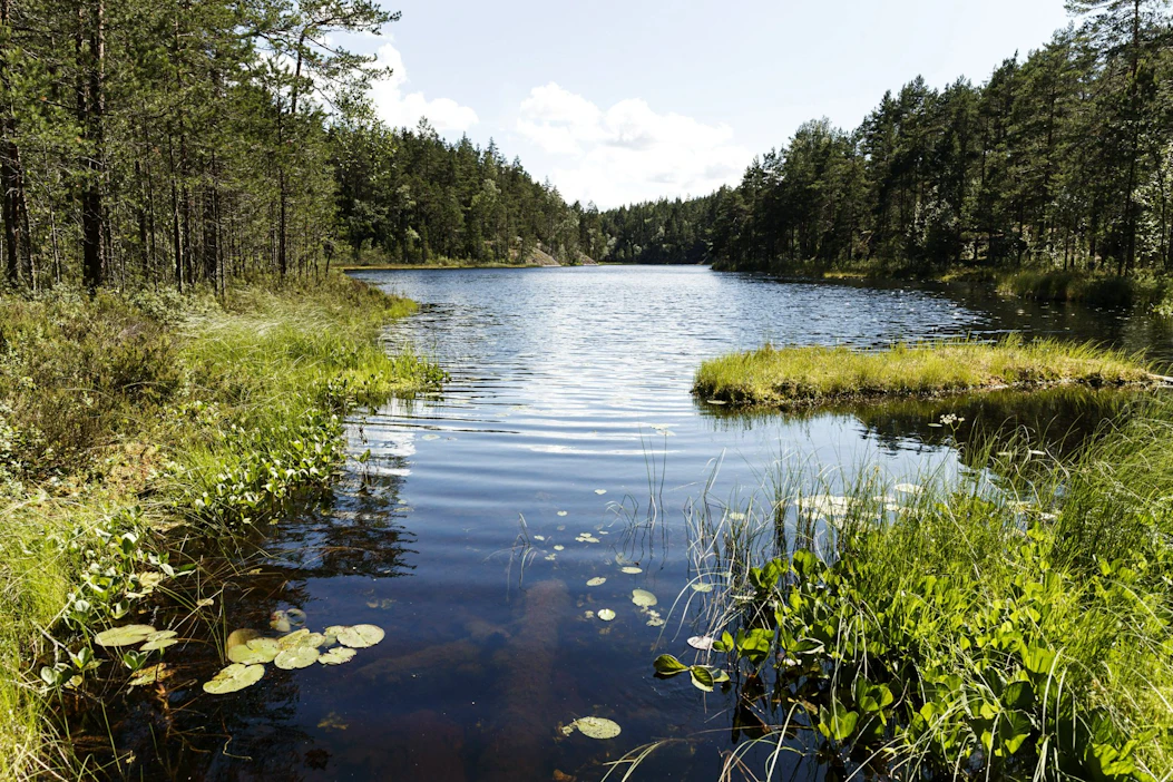 Suomalaisten mielestä tärkeitä syitä lähiluontoon lähtemiselle olivat fyysisen kunnon ylläpitäminen, stressistä palautuminen ja rentoutuminen sekä luonnon rauha ja hiljaisuus. LEHTIKUVA / Roni Rekomaa.