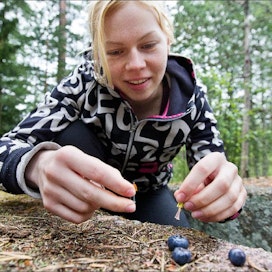 Mätäsmetäs-projektin viestintäharjoittelija Rosaliina Ahvenjärvi toteutti oman tulkintansa mummoista ja mustikoista. Kari Salonen
