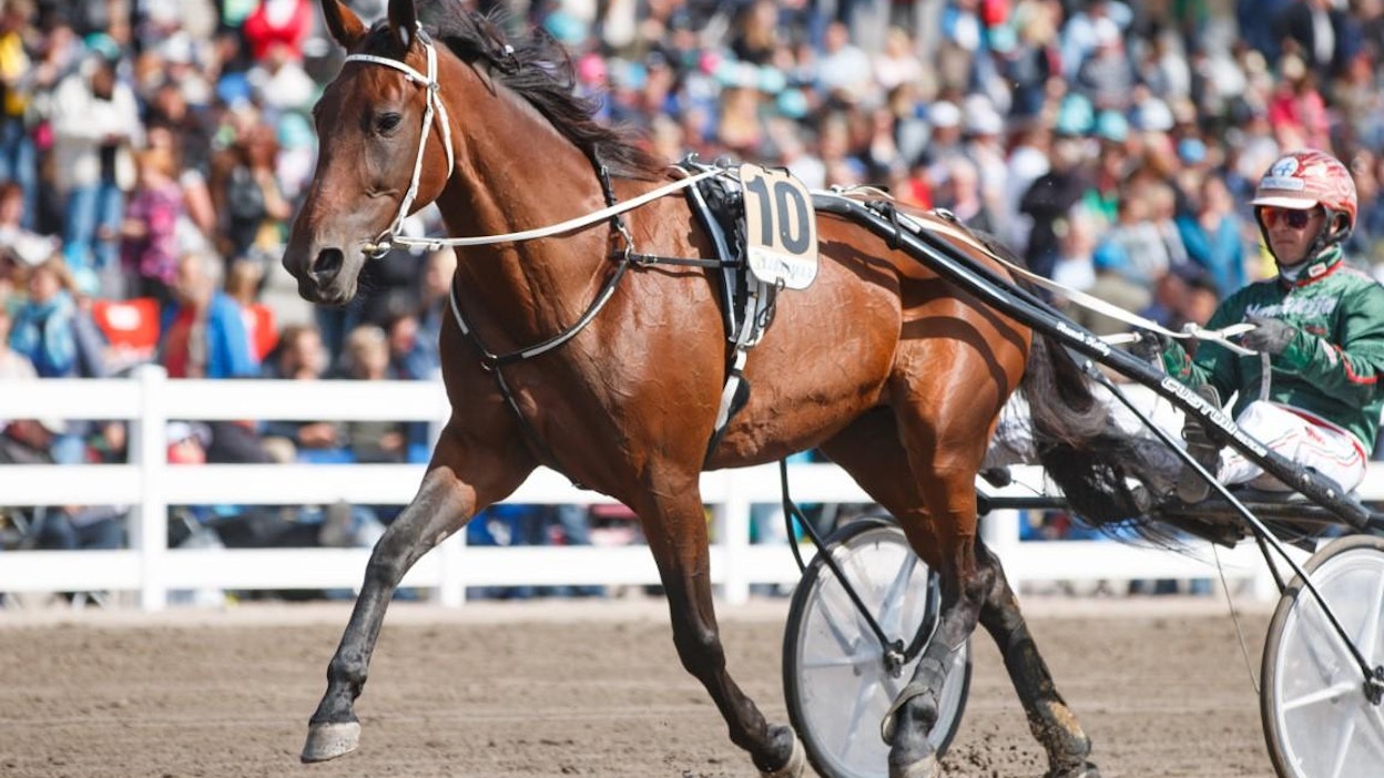 Ranch Kelly. Viime vuonna suuren huomion kohteena - tänä vuonna mammahommissa.