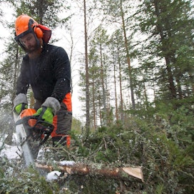 ”Itse tekemällä tienaan havukuidusta lähes 25 euroa enemmän kuutiolta kuin pystykaupalla”, sanoo hankintahakkuuta tekevä pudasjärveläisen metsätilan isäntä Kari Koivukangas.