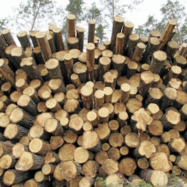 Heinäkuussa puusta 78 prosenttia ostettiin pystykaupoilla.